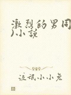 激烈的男同(h)小说