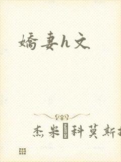 娇妻h文