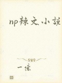 np辣文小说