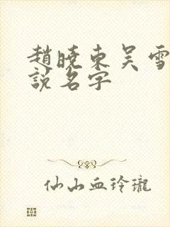 赵晓东吴雪晴小说名字