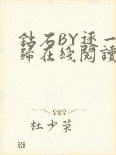 钻石BY逐一而归在线阅读