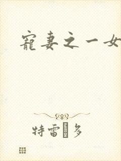 宠妻之一女二夫