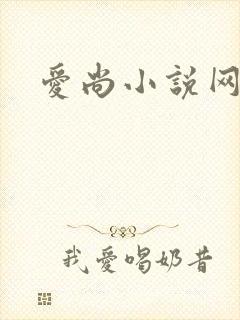 爱尚小说网