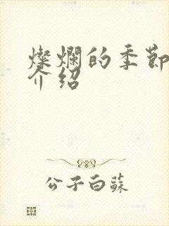 灿烂的季节剧情介绍