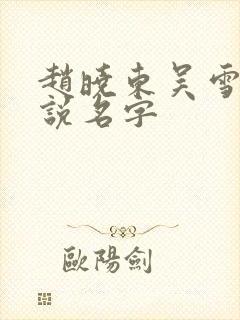 赵晓东吴雪晴小说名字