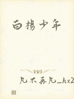 白杨少年
