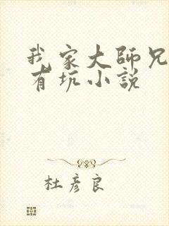 我家大师兄脑子有坑小说