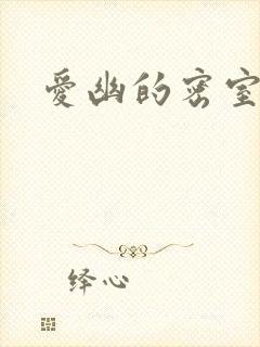 爱幽的密室小说