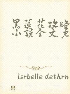 黑莲花攻略手册小说全文免费阅读笔趣阁