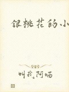 银桃花的小说