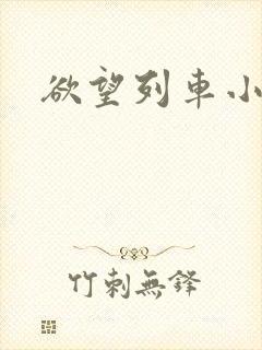 欲望列车小说