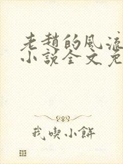 老赵的风流人生小说全文免费阅读