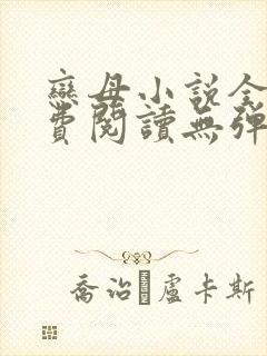 恋母小说全文免费阅读无弹窗笔趣阁