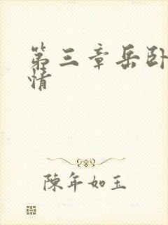 第三章岳卧室激情