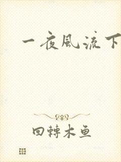 一夜风流下载