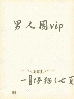 男人团vip