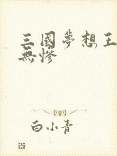 三国梦想王元姬无惨