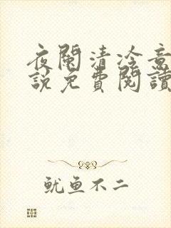 夜阑清冷意欢小说免费阅读