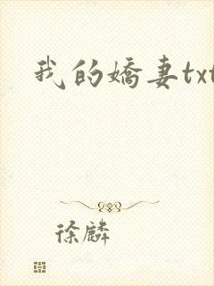 我的娇妻txt