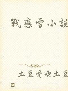 战恋雪小说