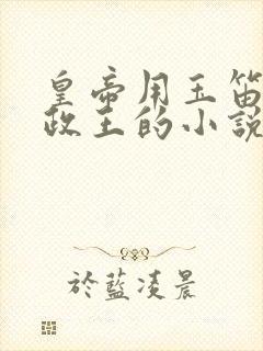 皇帝用玉笛整摄政王的小说