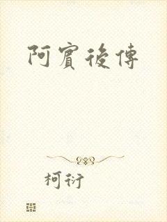阿宾后传