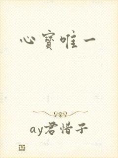 心宝唯一