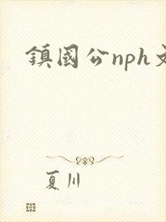 镇国公nph文