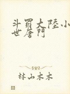 斗罗大陆小说绝世唐门