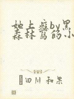 她上瘾by黑暗森林写的小说免费阅读无弹窗