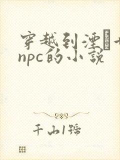 穿越到湮婸世界npc的小说