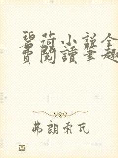 碧荷小说全文免费阅读笔趣阁