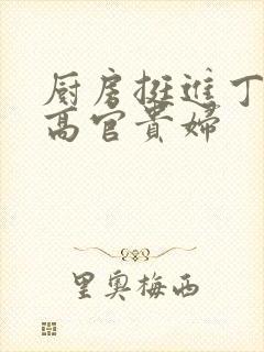 厨房挺进丁字裤高官贵妇