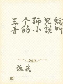 三个师兄轮流上音的小说叫什么
