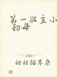 第一版主小说网 韵母