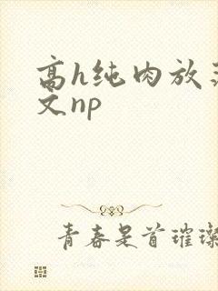 高h纯肉放荡h文np
