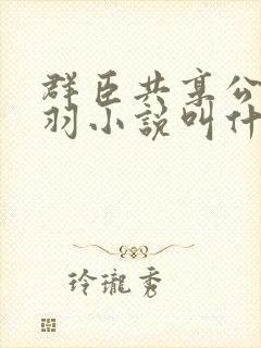 群臣共享公主银羽小说叫什么