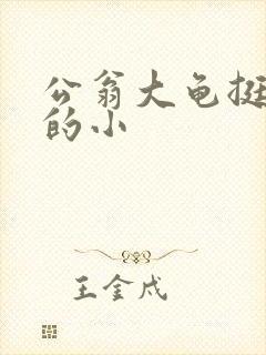 公翁大龟挺进我的小