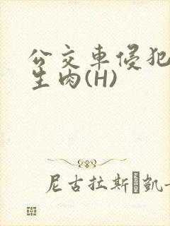 公交车侵犯小男生肉(H)