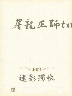 屠龙巫师txt