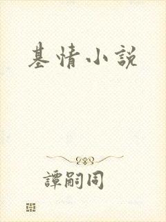 基情小说