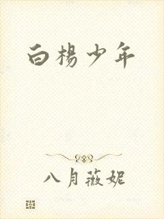 白杨少年