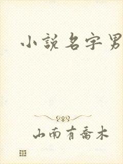 小说名字男生