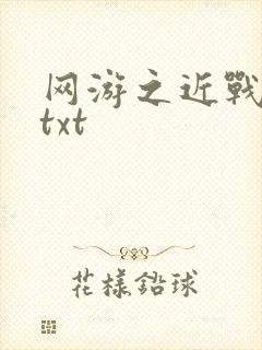 网游之近战法师txt