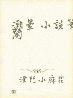 潮晕 小说笔趣阁