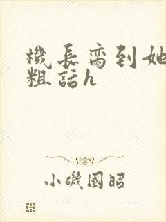 机长脔到她哭h粗话h