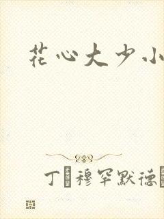 花心大少小说