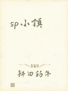 sp小镇