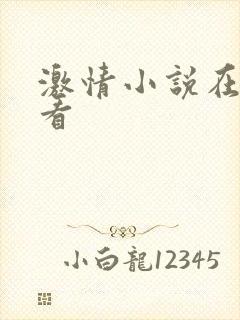 激情小说在线观看