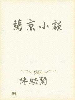 兰京小说
